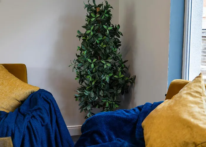 Games Free Parking House Bristol