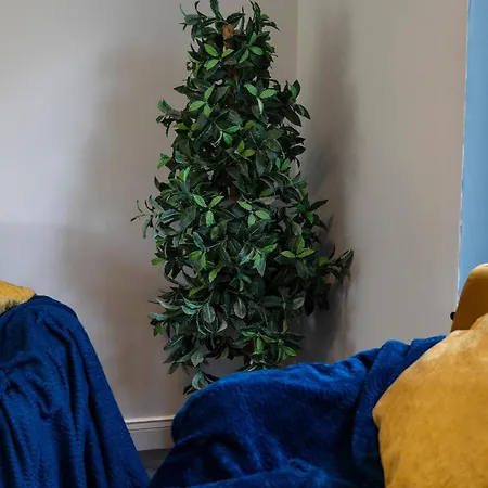 Games Free Parking House Bristol