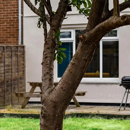 Games Free Parking House Nyaraló *