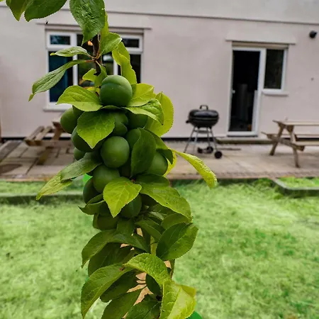 Nyaraló Games Free Parking House